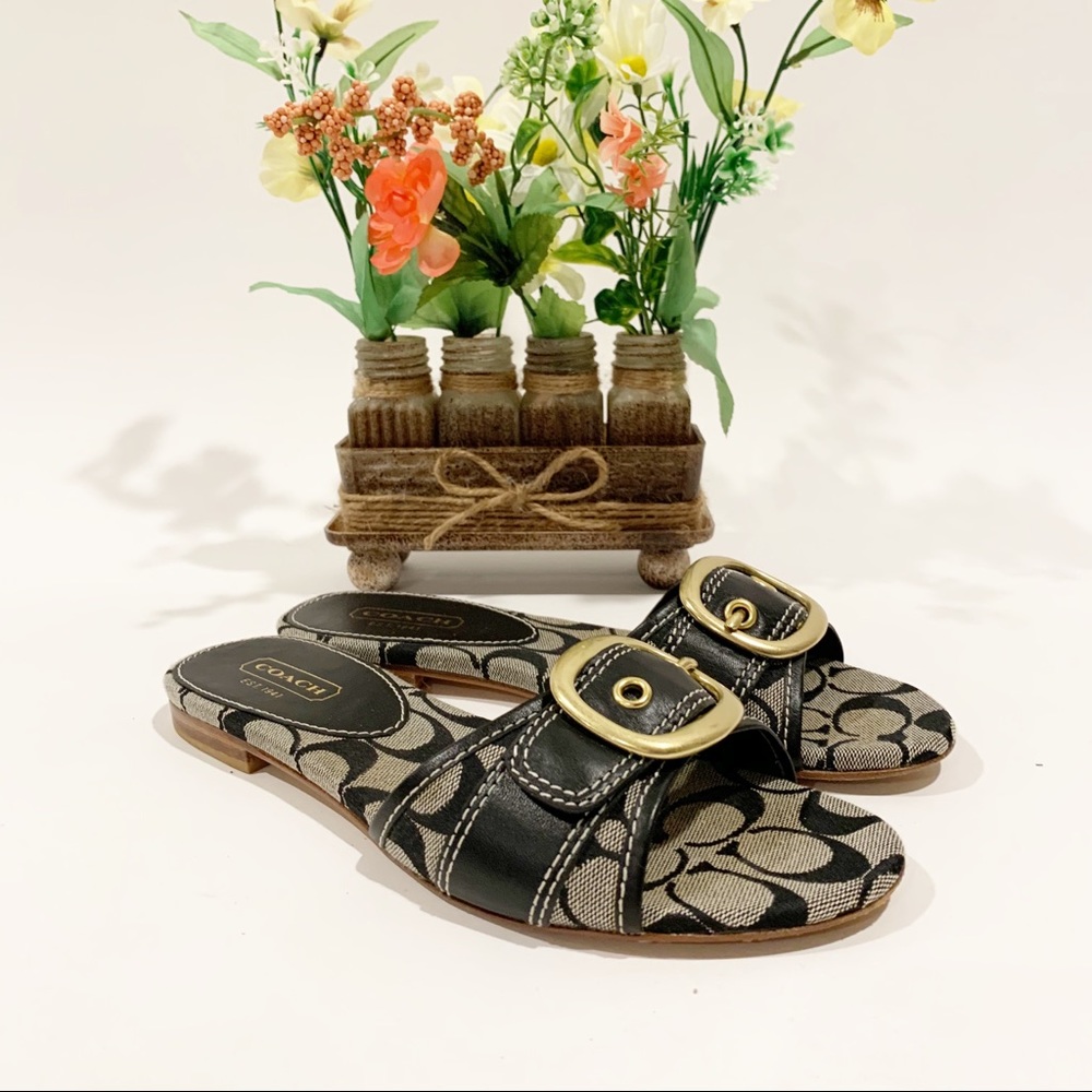 Coach shoe
